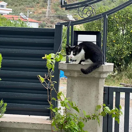 Mirsah Apartmán *