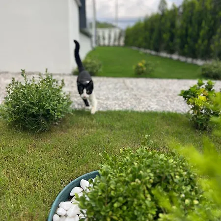 Mirsah Apartmán Dalaman